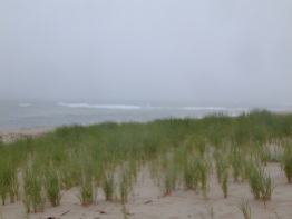 foggy morning on a beach in Cape Cod