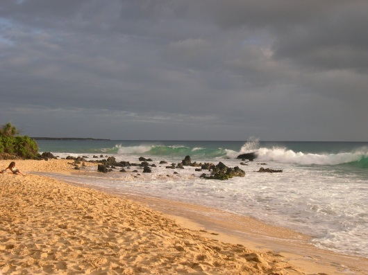 a beach in Maui
